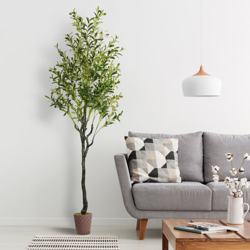 Primrue 72'' Faux Olive Tree Tree in Pot & Reviews Wayfair